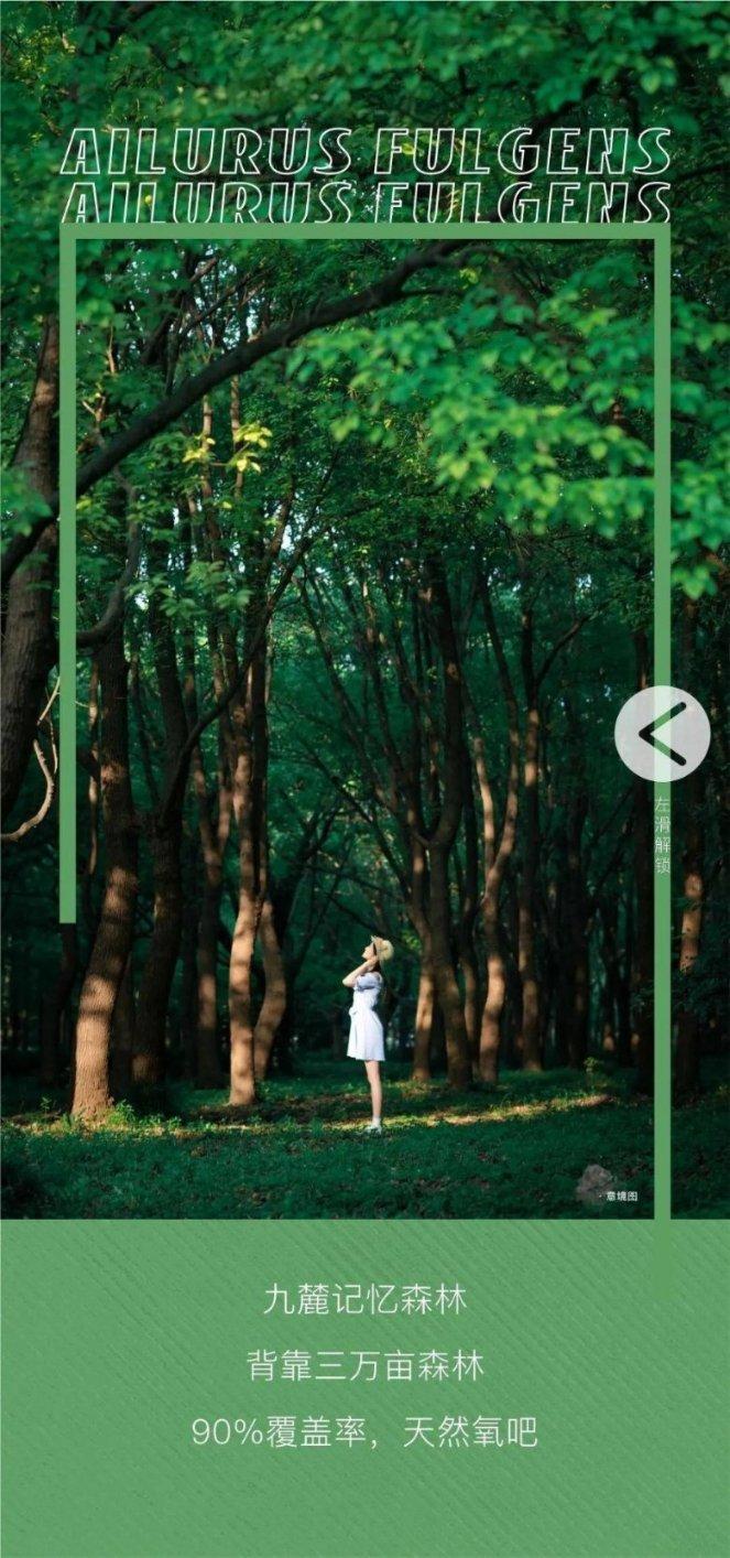 为什么有些人不喜欢《简·爱》？游戏画面