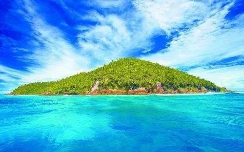 迷雾求生
