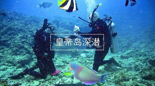 万词王